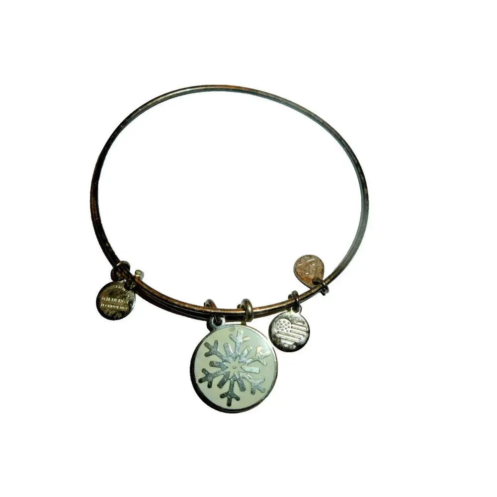 Alex And Ani 2015‎ Snowflake Charm Bracelet Silver Tone Bangle
